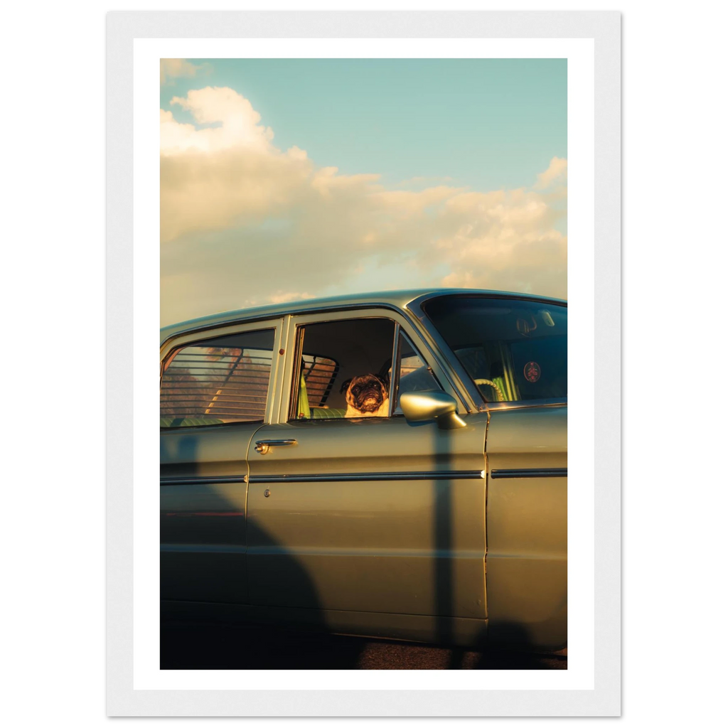 1650a275-3d94-4ef2-bd0d-ee1b1257fe00