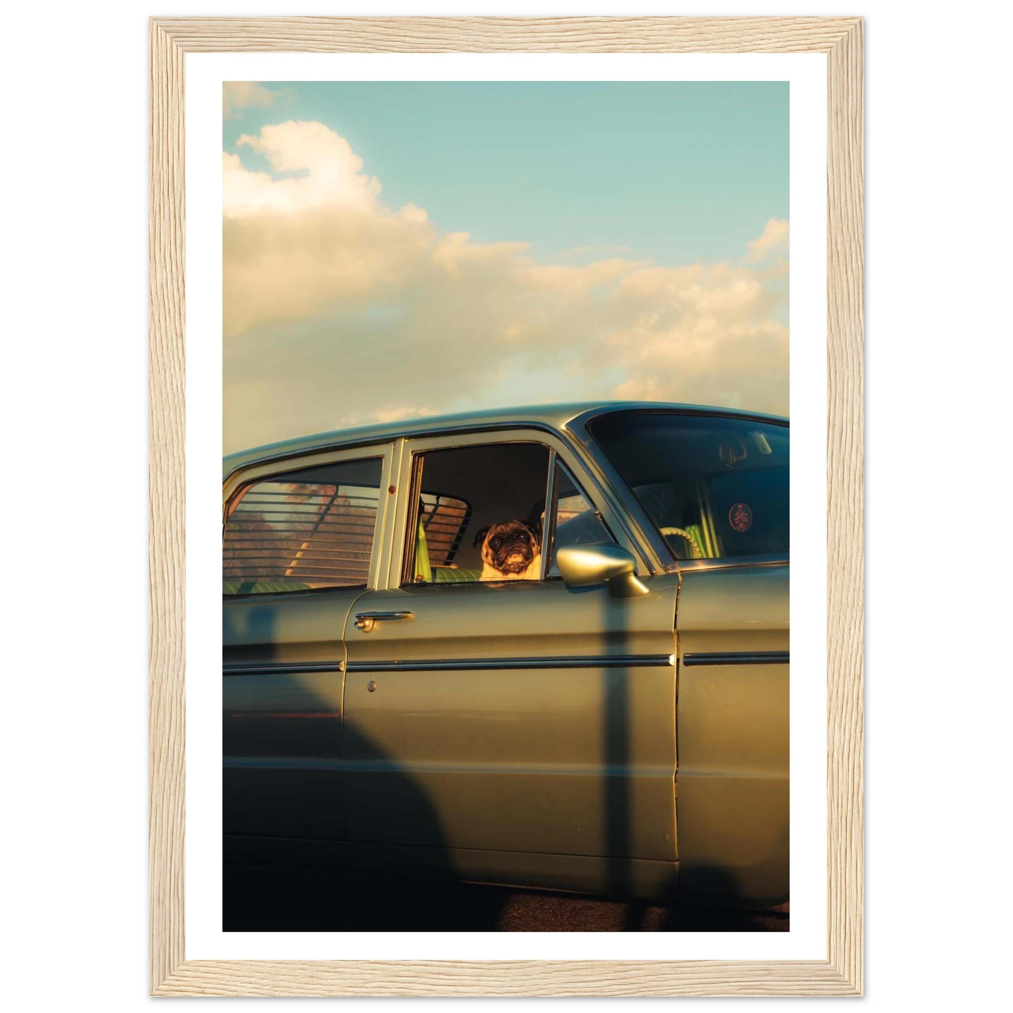 24039ead-68bc-46a3-84d9-10a4c457d137