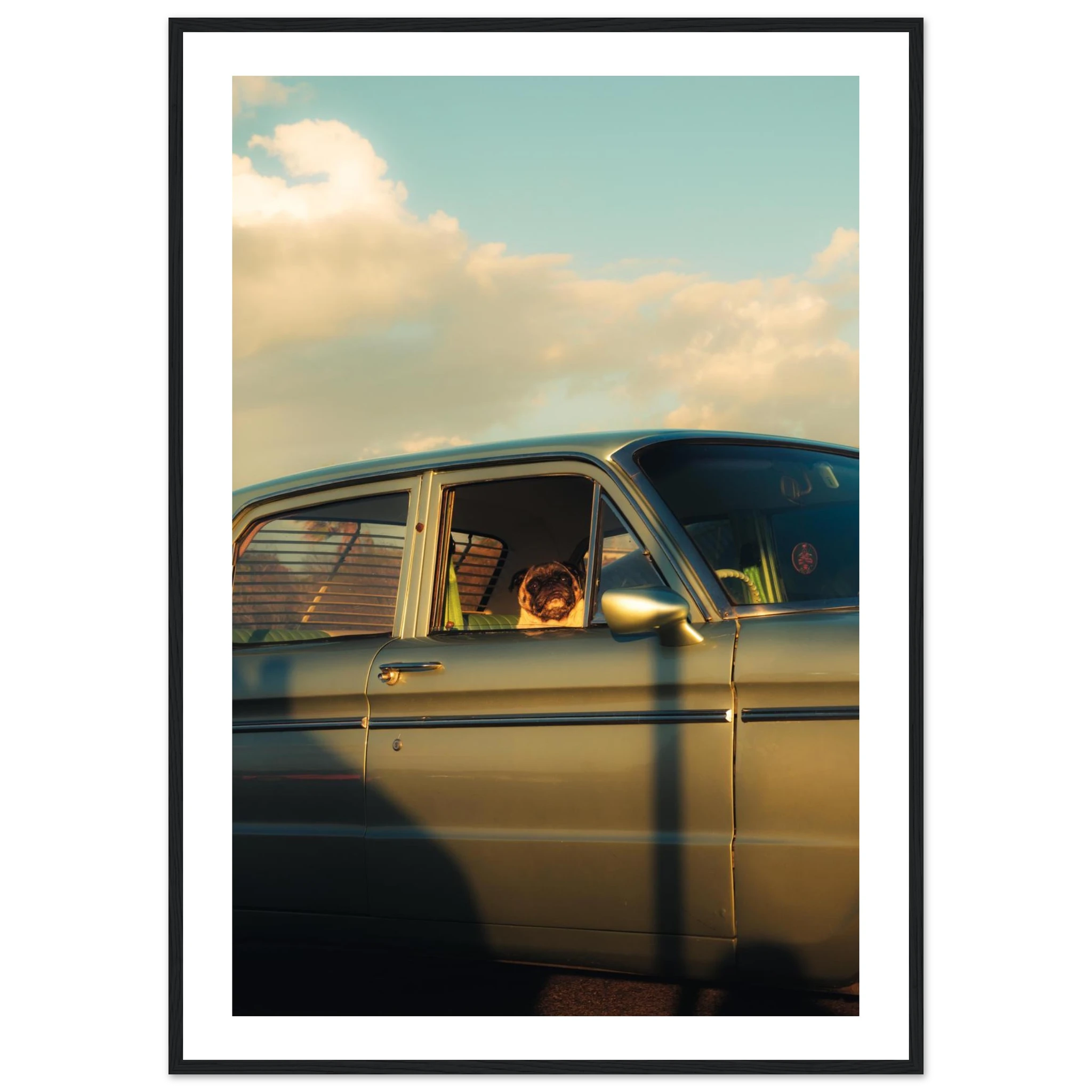 2648cdbe-7543-43e5-8636-86caaf53199b