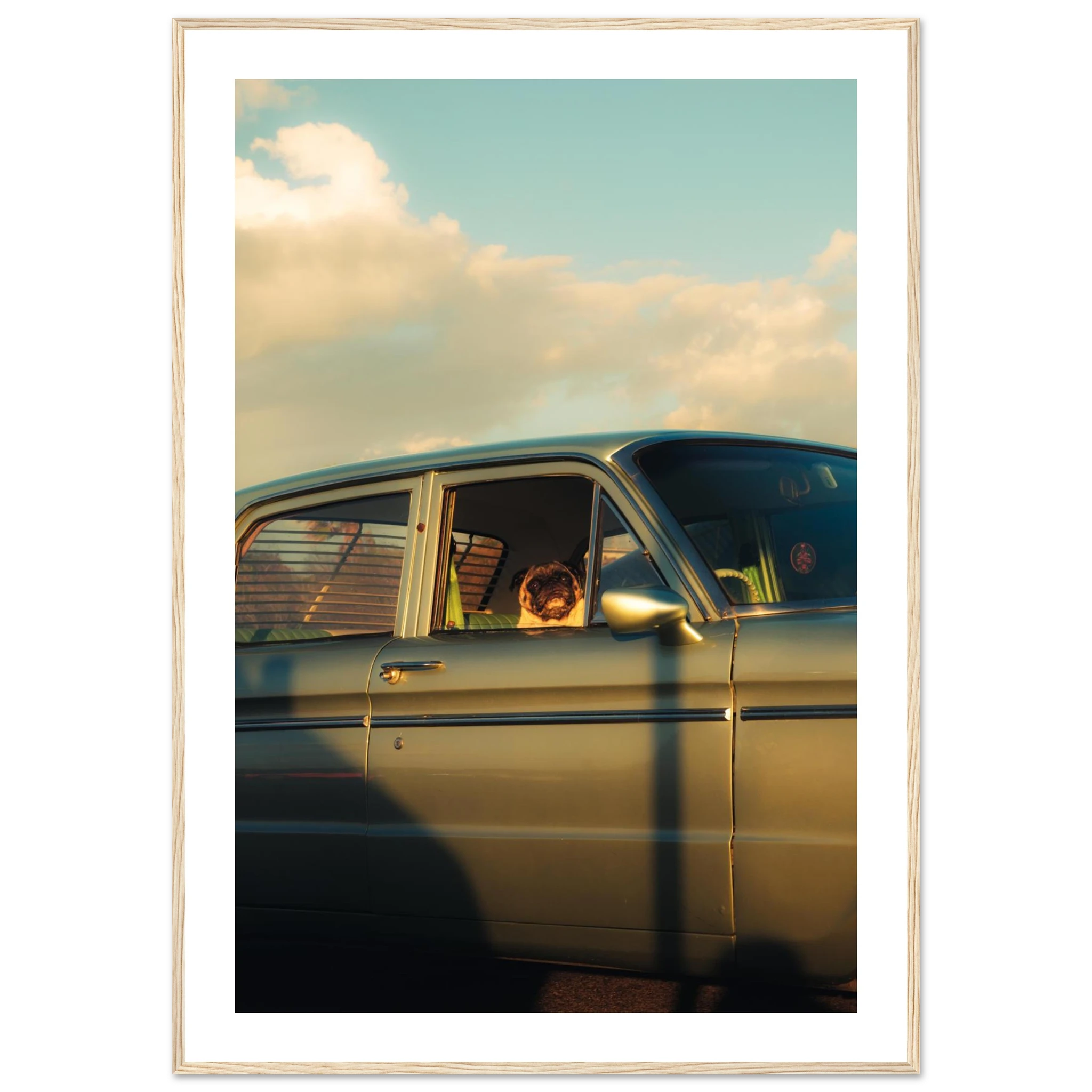 3b4fbf1a-5aaa-4d1f-805a-405bb823d2bf