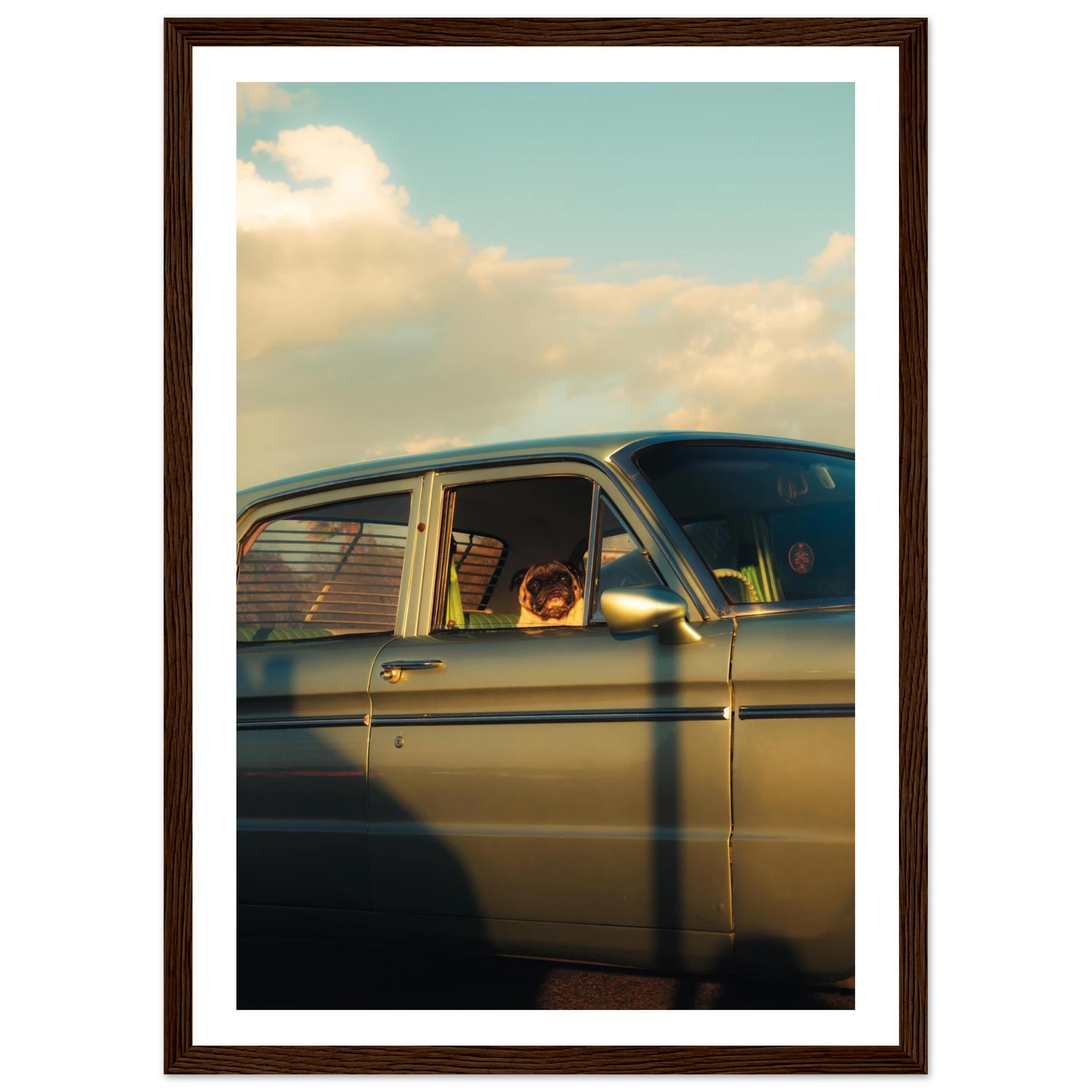 707e68b9-6a8b-49bf-a7d6-bfa38c68449b