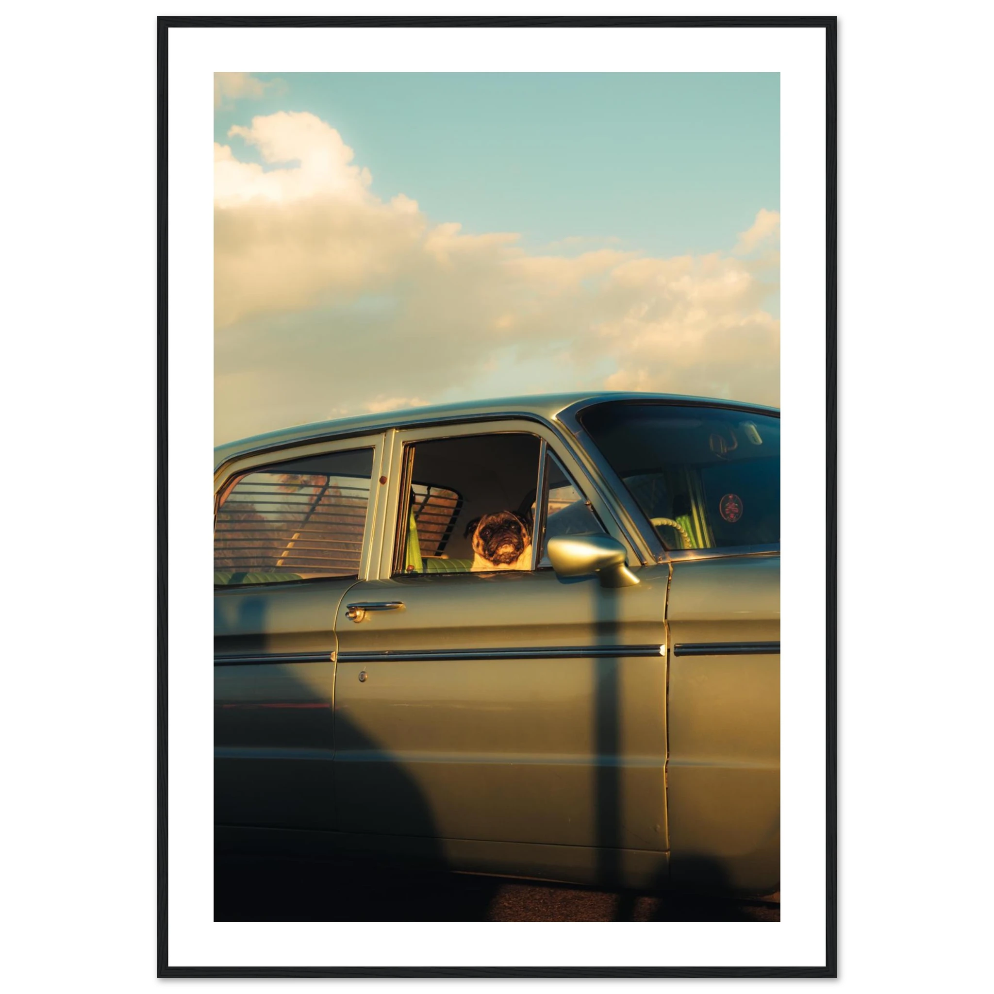 76c24bbb-f476-4052-8350-14a0ede127aa