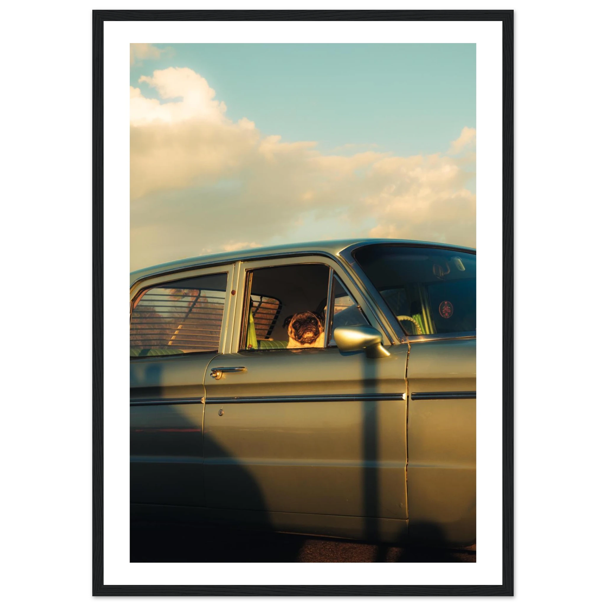 9e50f458-5045-4a96-b43e-ee7d71fe76d1