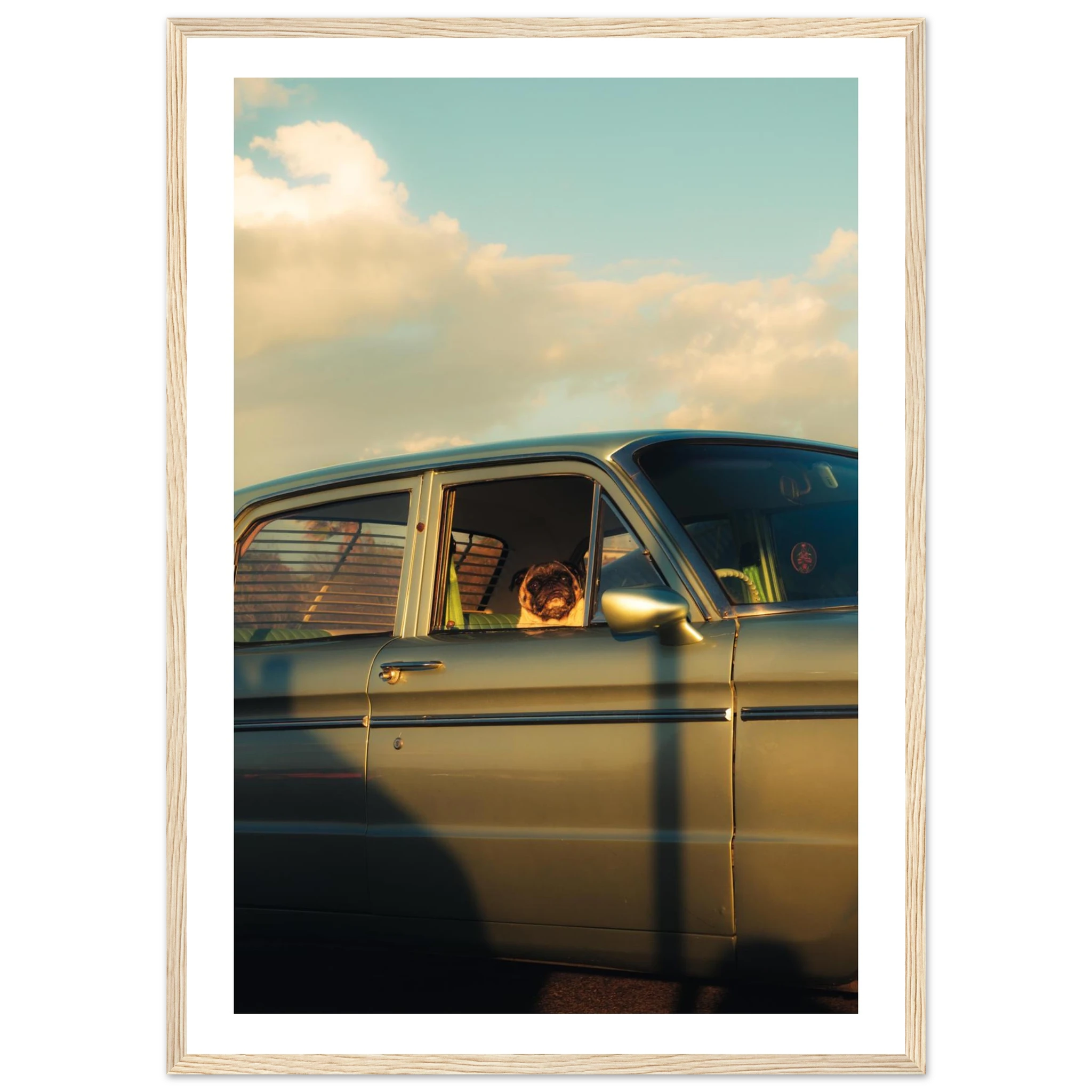 bfba2279-34f4-4ac9-868f-baec3dee0263