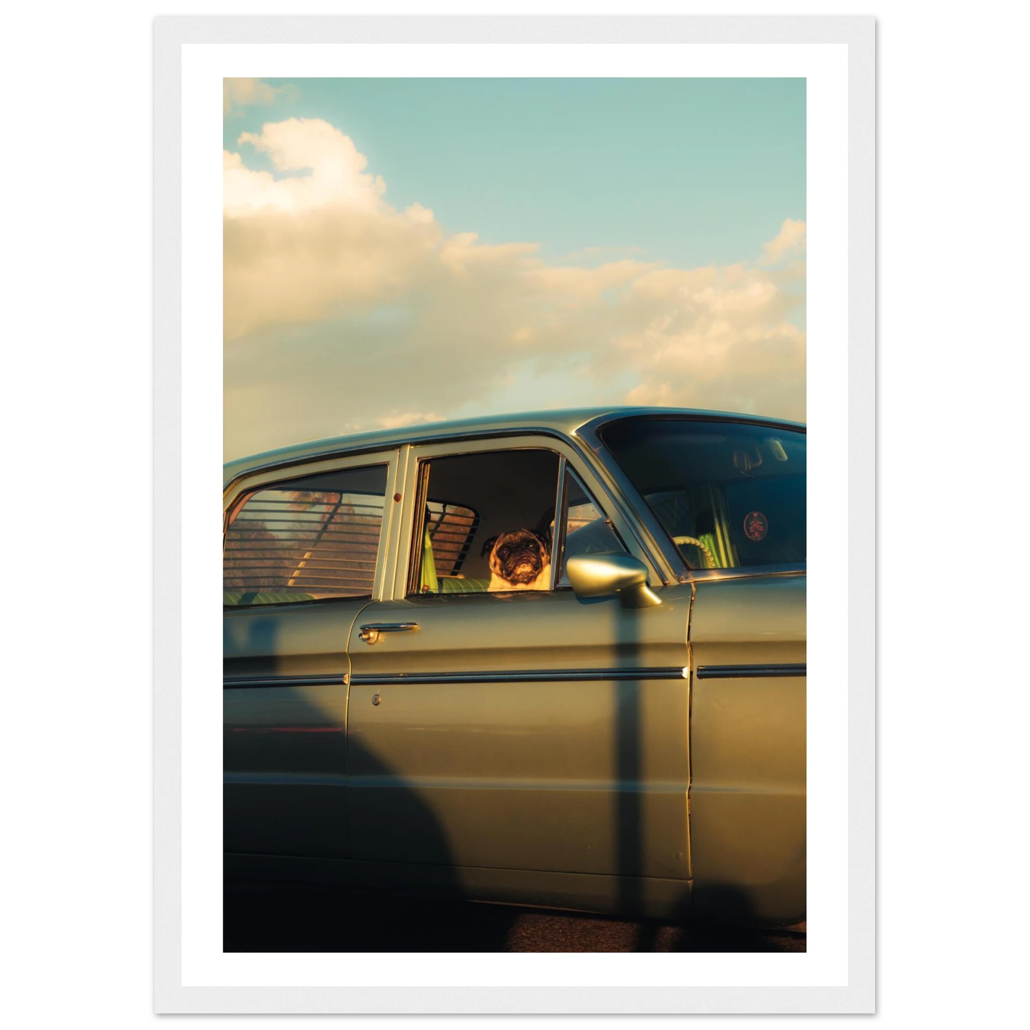 c18f0e08-517f-4a42-b5d2-0a6bd5875f55